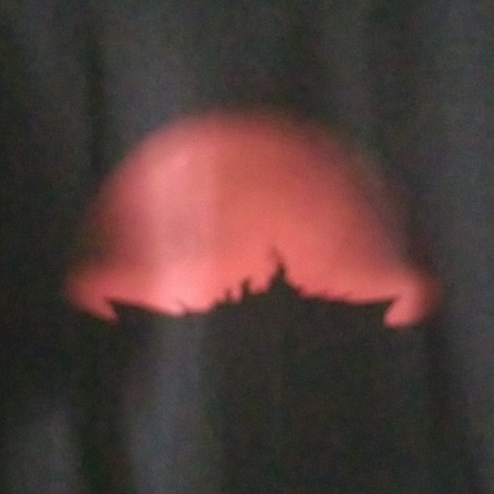 Gildan. XL. Coca-Cola Zero Battleship shirt - Picture 2 of 4